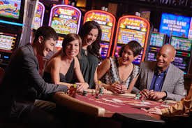 z7.com Live Casino